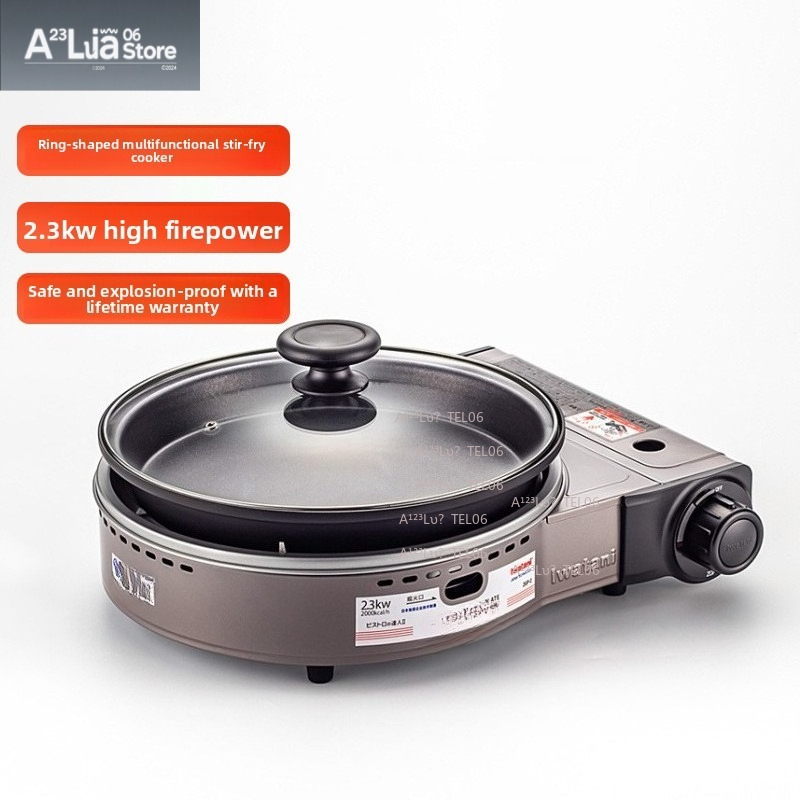 Portable Windproof Gas Stove B - Camping Cooking Burner recension och pris