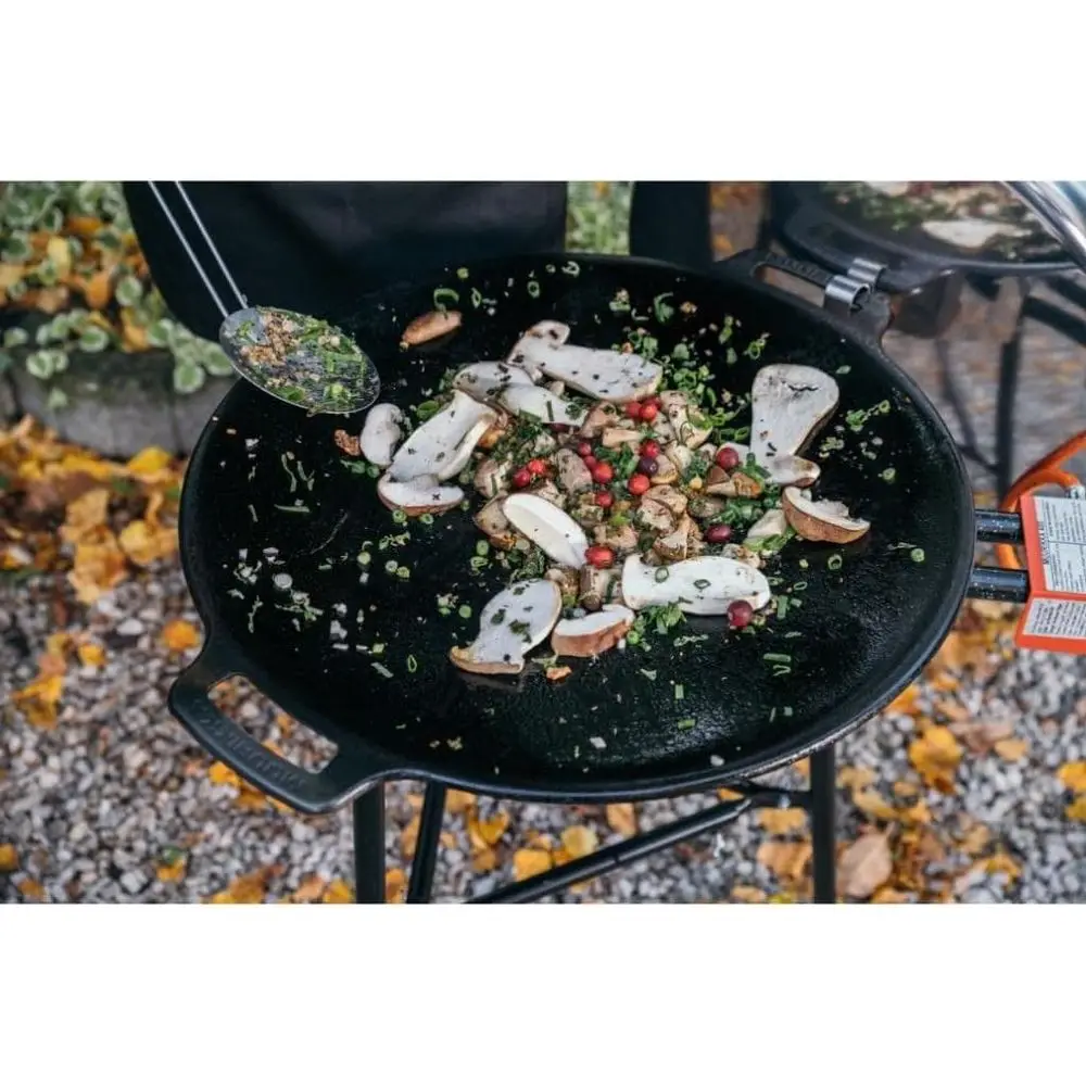 48cm Outdoor Gas Grill with Le - Camping Cooking Open Fire recension och pris